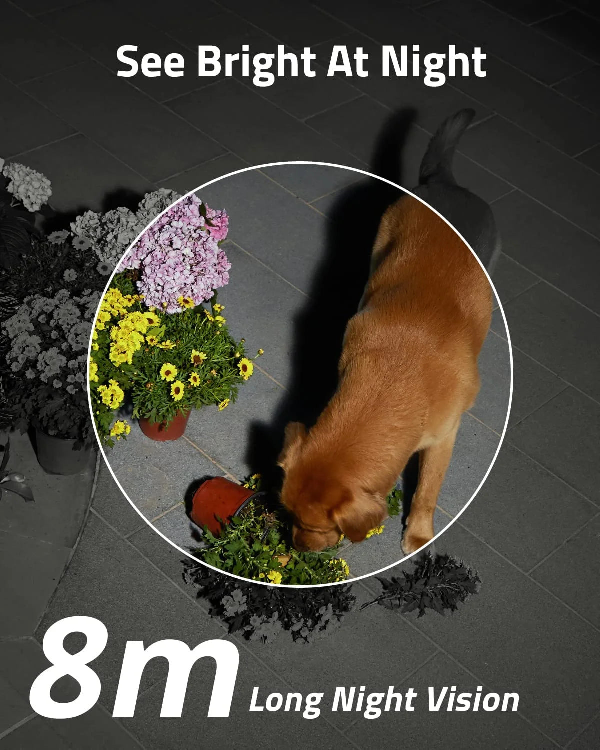 Solocam S40 Wireless Solar Security Camera